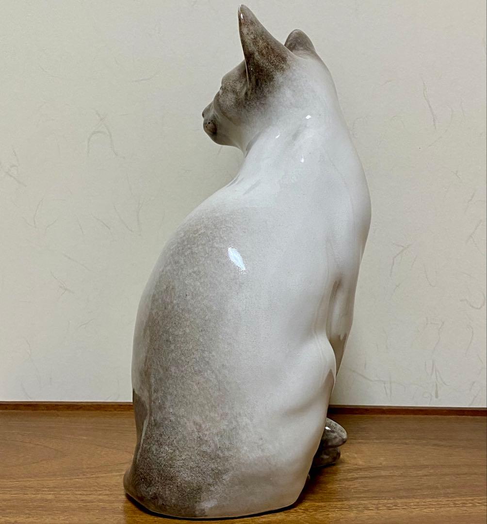 ウィンスタンレイキャット　ケンジントンキャット　寒色系シャム猫　サイズ5