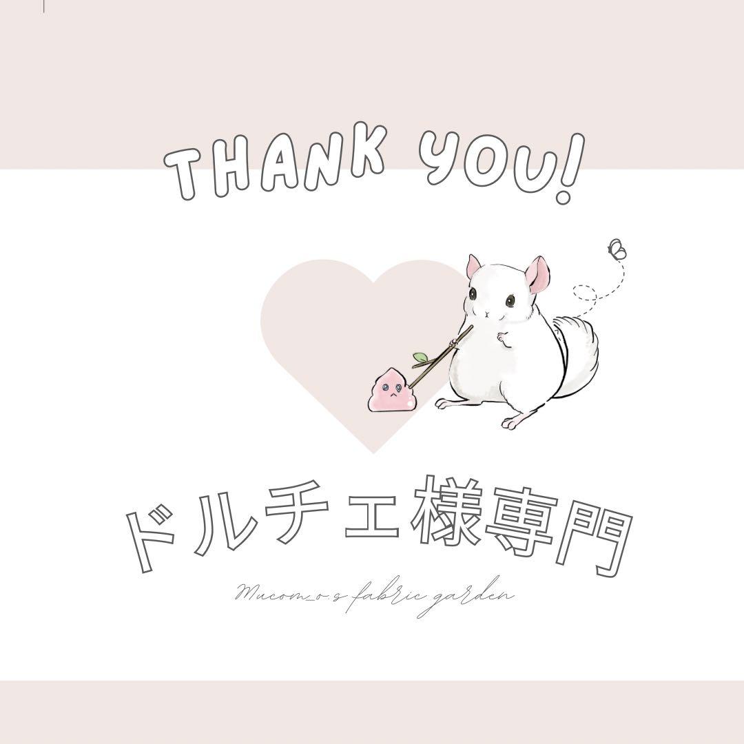 ドルチェ様専門　確認後購入してください