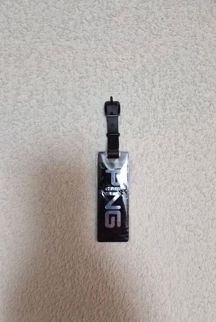 【レイナ】PING キャディバッグ ホワイト/ブラック