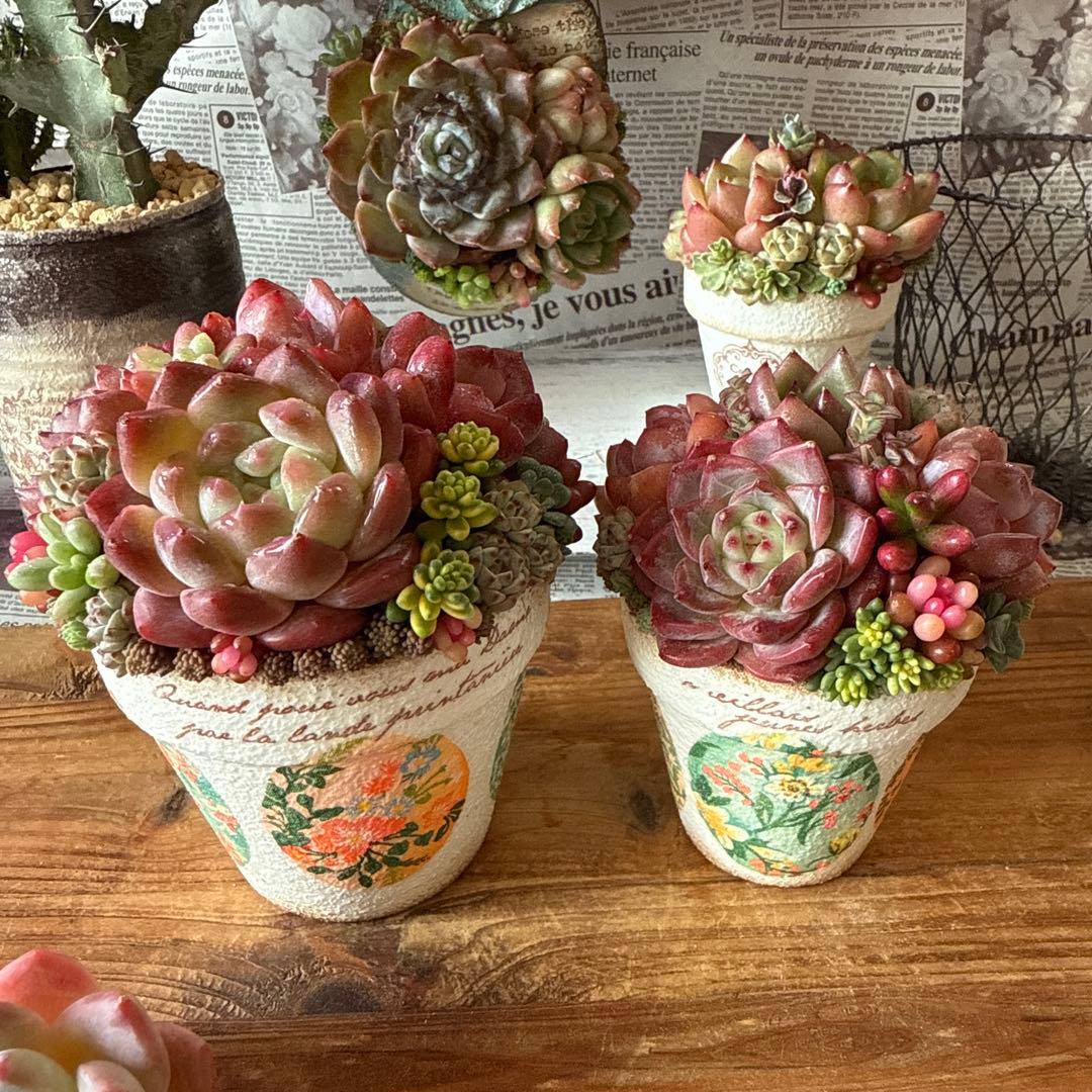 ❤︎レトロ柄リメイク鉢❤︎ そのまま飾れる多肉植物寄せ植え　リメ鉢ちまリメ缶花苗