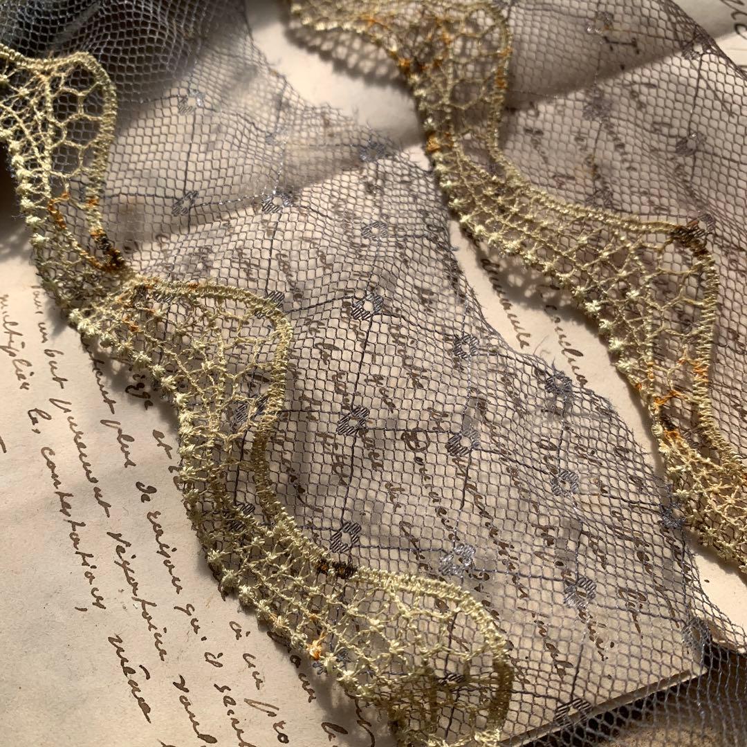 偶然の産物シリーズ☆錆染めチュールレース1メートル⑧260