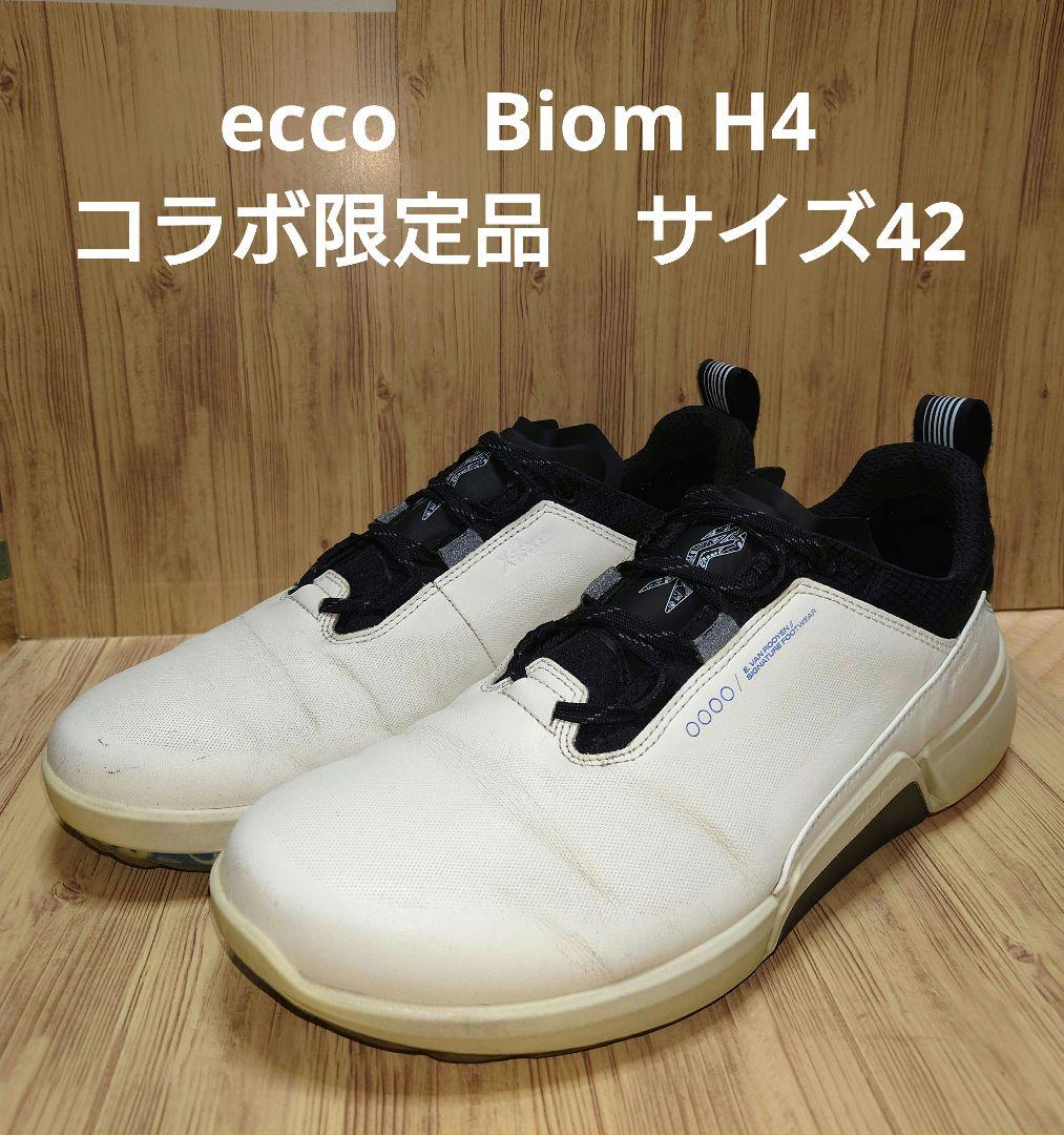 ECCO Golf　Biom H4　限定品　コラボモデル　サイズ42