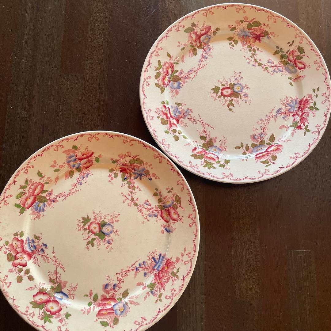 サルグミンヌ 花柄平皿 2枚セット BERTHA 約22.5cm