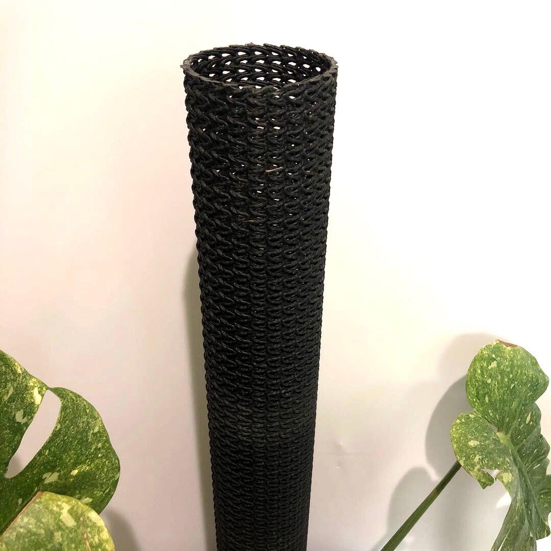 希少大株　斑入りモンステラ　デリシオーサ　グリーンスノー　9号鉢植え発送　葉5枚