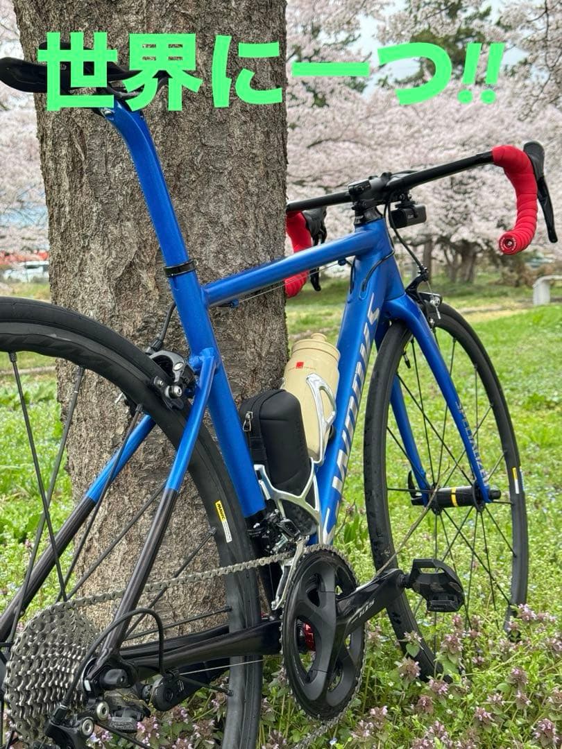 世界に一つ！！ S-WORKS リペイント ロードバイクフレームtop51cm