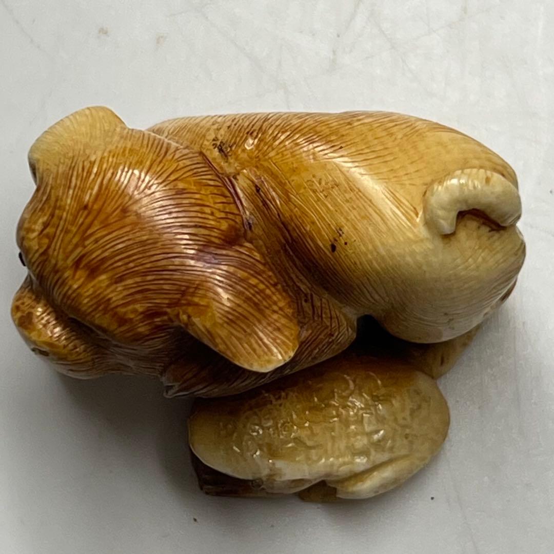 極上 犬とカエル 根付 寛公銘 29g 東キ8-0204☆2F タルサ