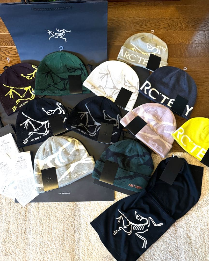 今期カナダ正規品ARC'TERYX MANTIS 2 WAIST PACK②