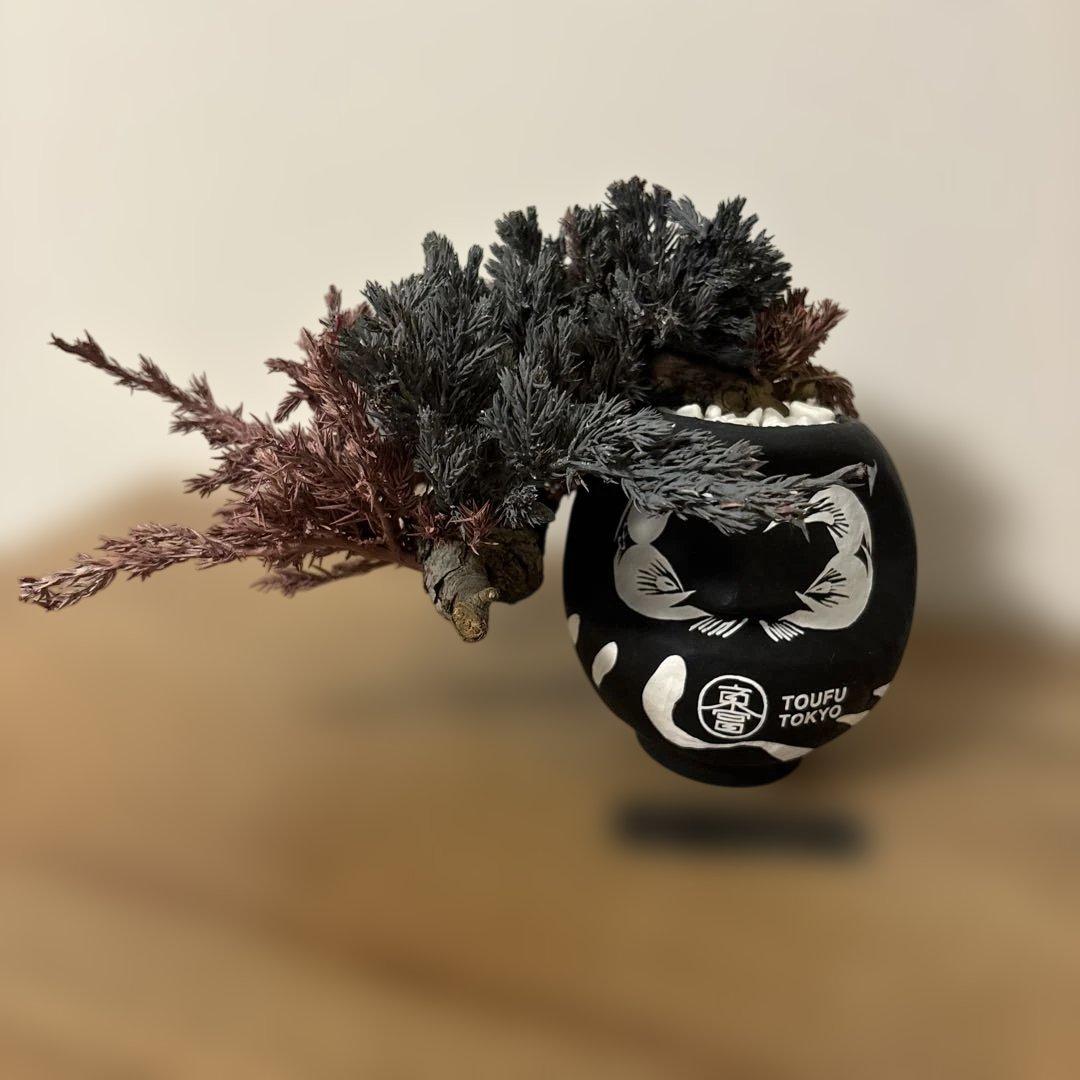 re盆栽　ドライ盆栽　達磨　TOUFU東京