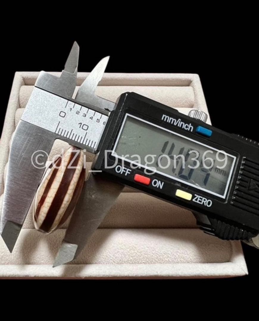 dZi beadsジービーズ 西蔵 玉髄 上肯 龍紋 陰陽太極図天珠（板珠）