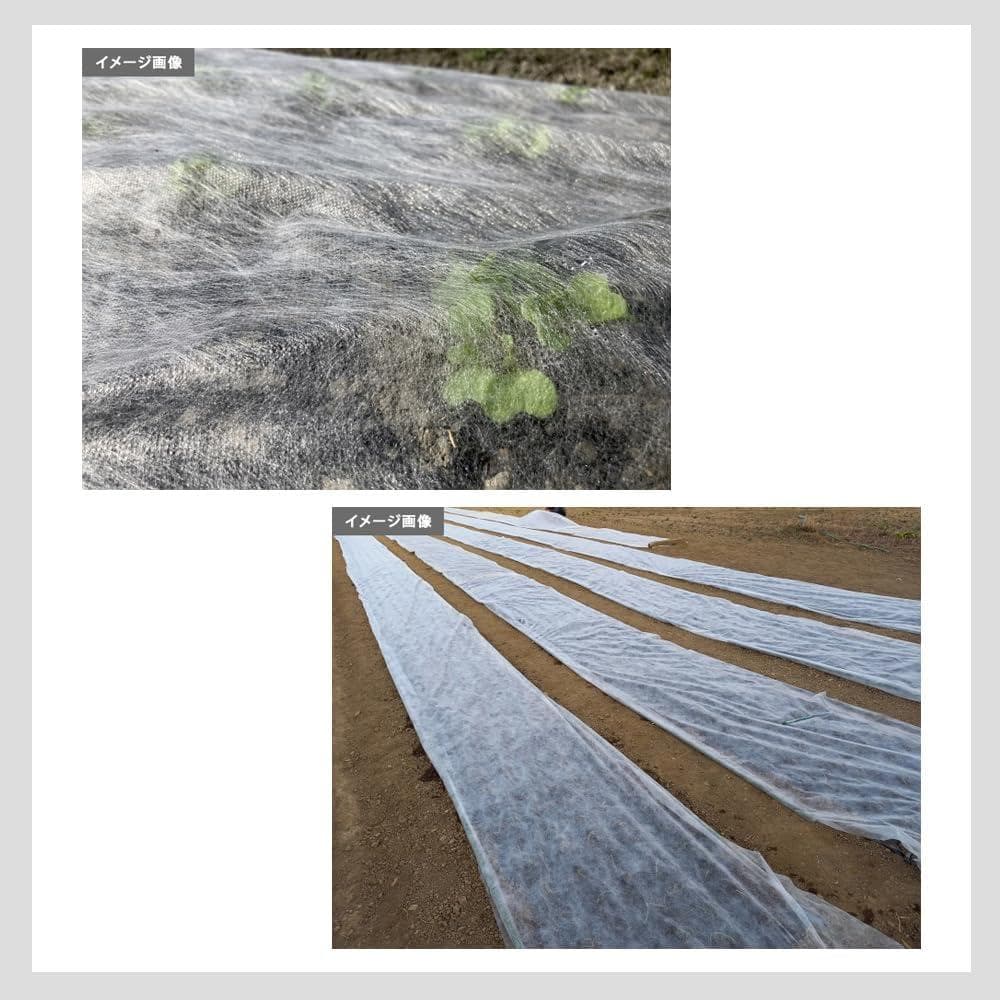 【国産】日本製 農業用シート 園芸用 パオシート170 白 95cm×200m