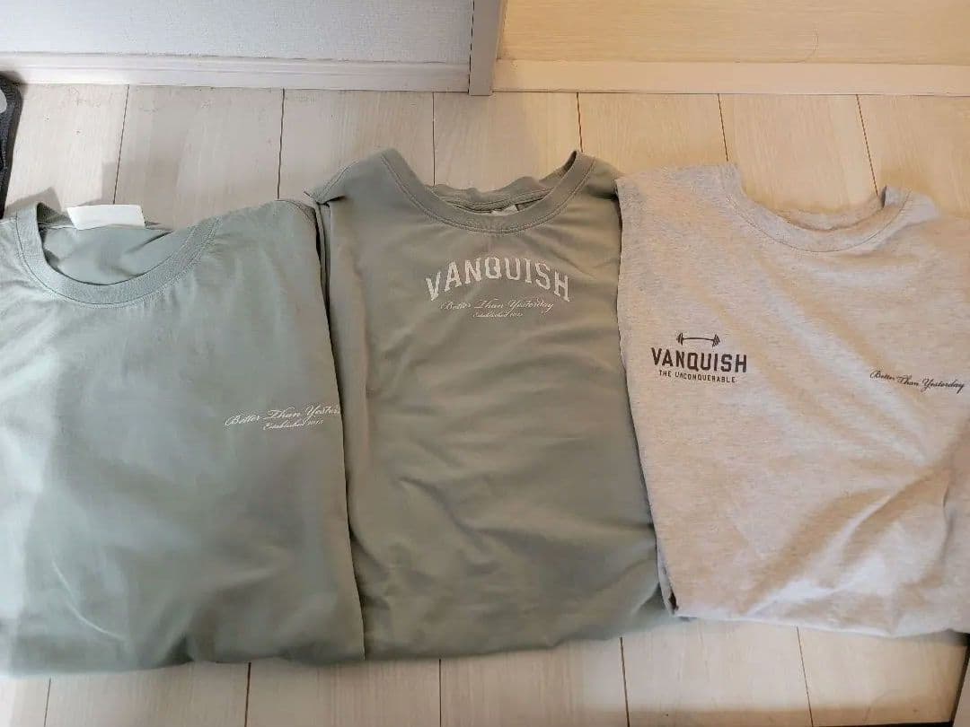 VANQUISH FITNESS タンクトップ、Tシャツセット美品 早い者勝ち!