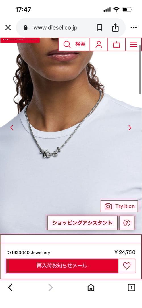 【正規品】DIESEL シルバーネックレス