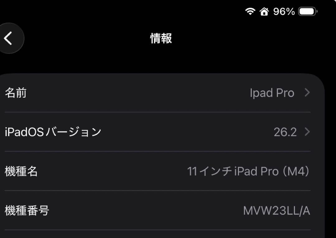 Apple iPad Pro 11インチ (M4) 256GB 美品