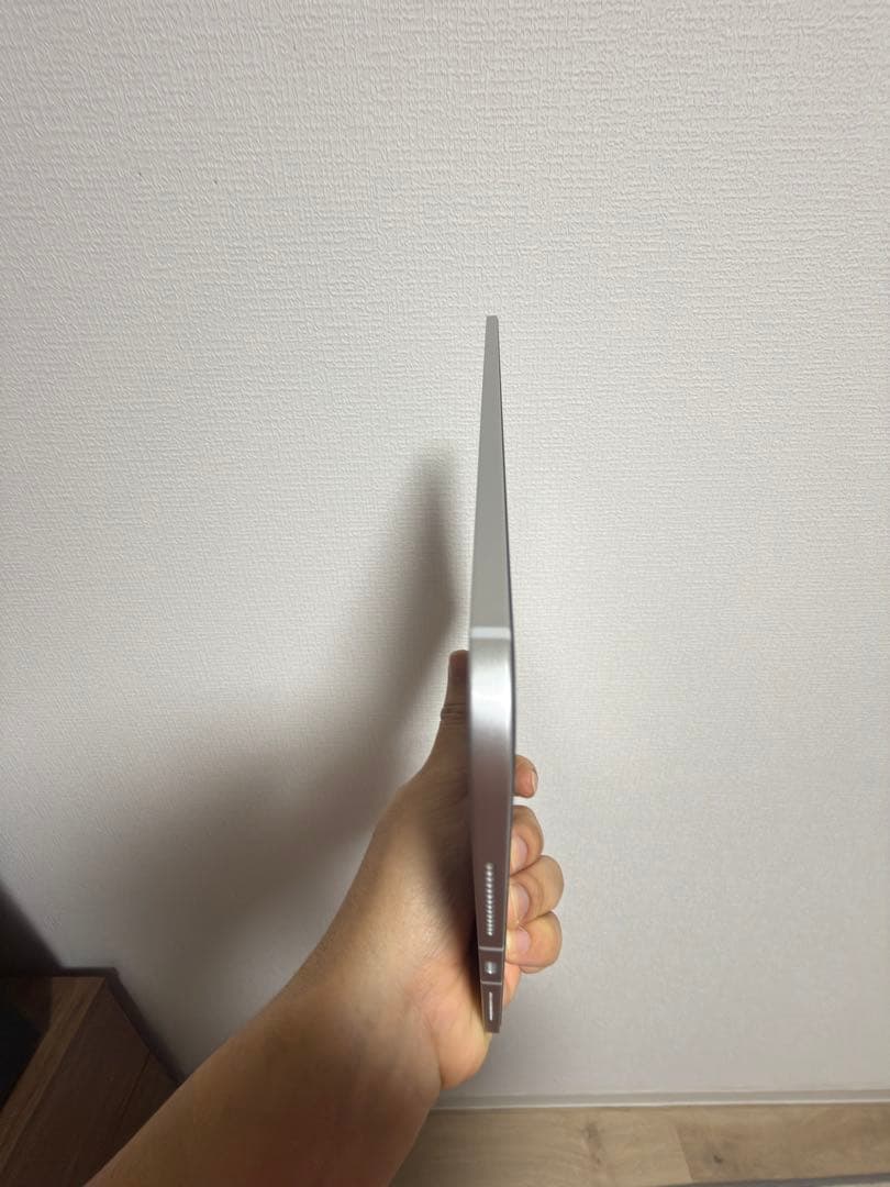 Apple iPad Pro 11インチ (M4) 256GB 美品