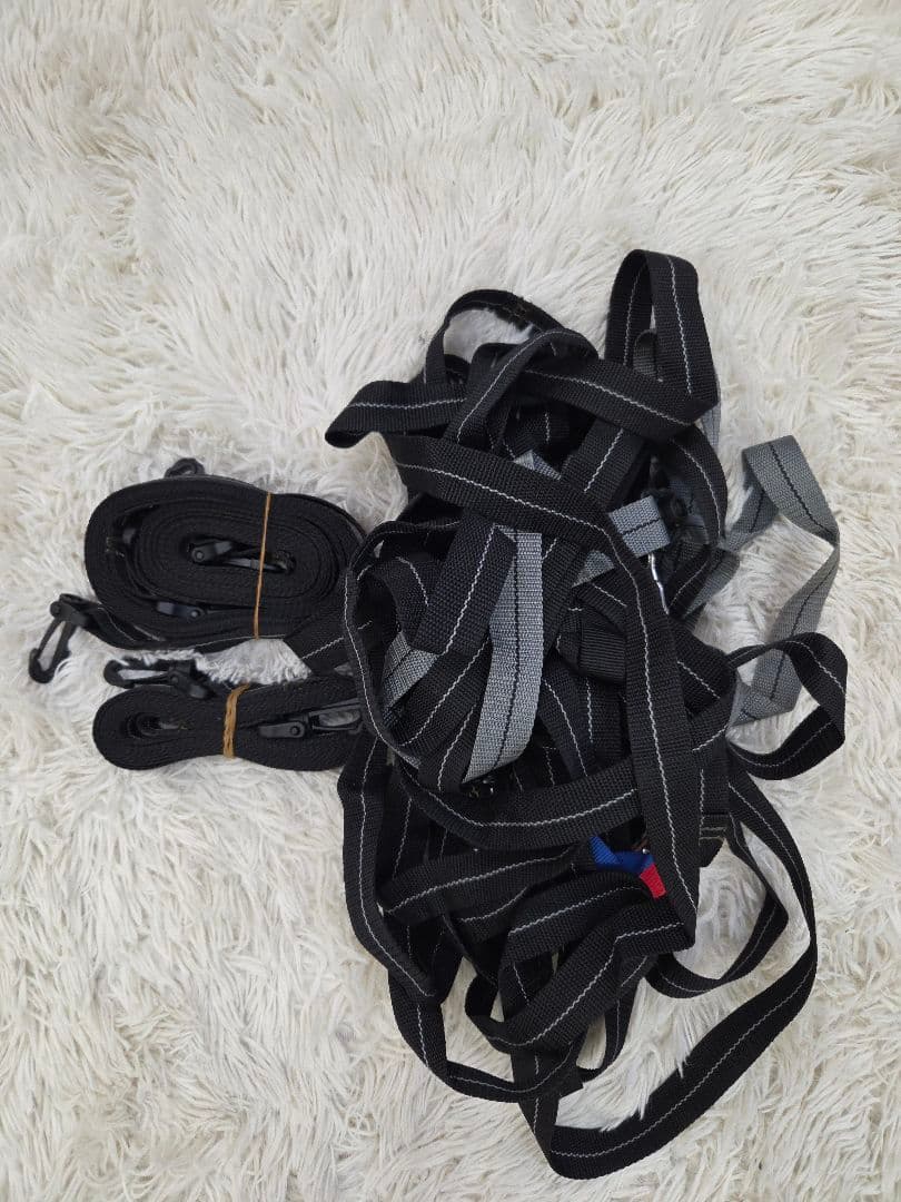 ほぼ未使用　ogawa ティエララルゴ オガワ　キャンパルジャパン　タープテント