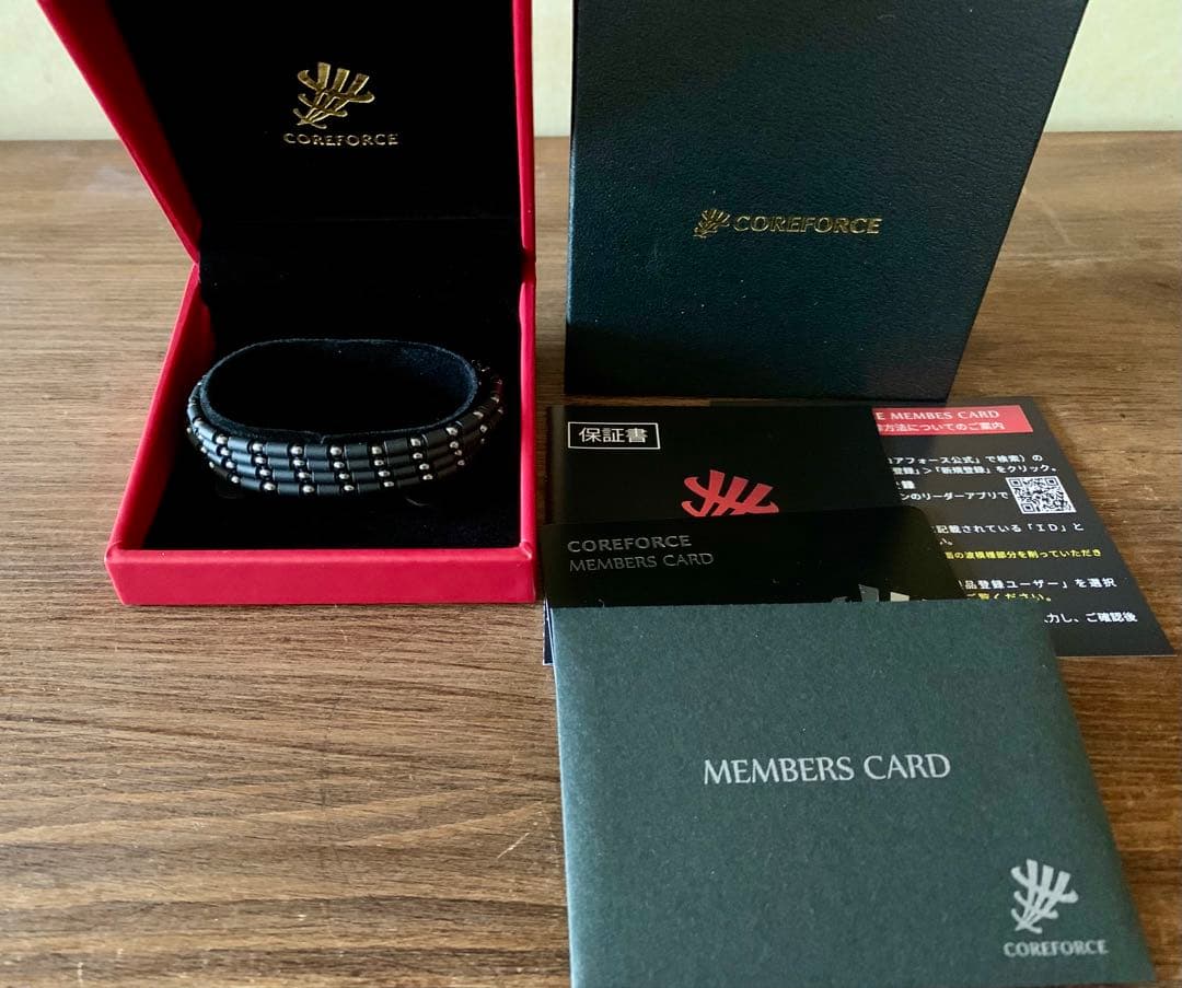 レッドウィングさん専用！コアフォース ループ ブラック 70cm ネックレス