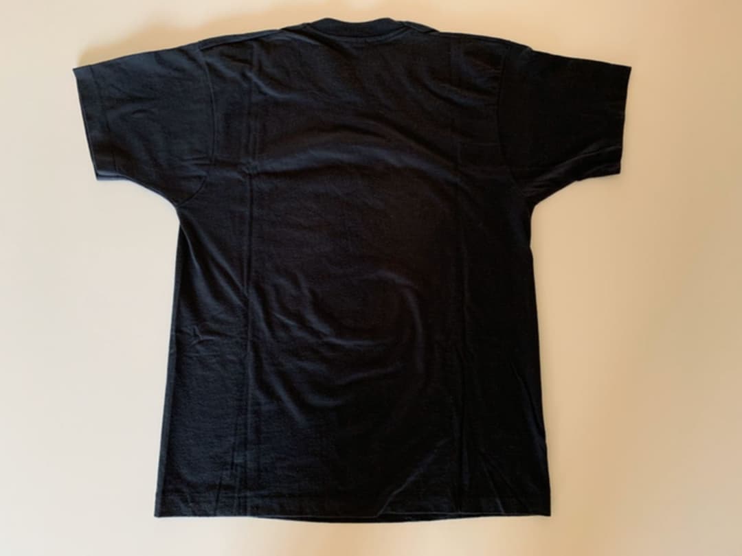 青リンゴ　90s misfits pushrod zedLongBeach