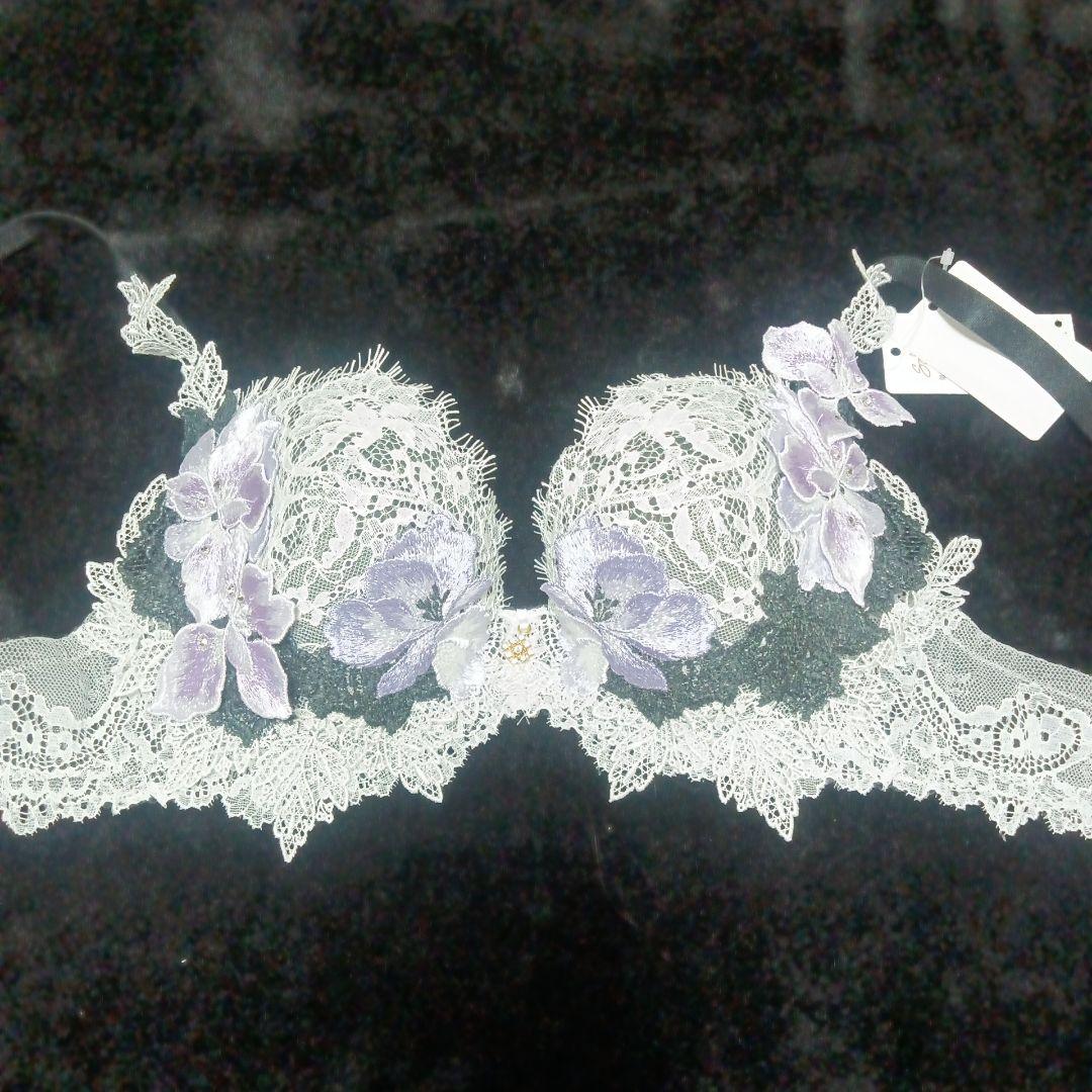 ワコール サルート 69 メキシコ D70 D75 ブラジャー 単品