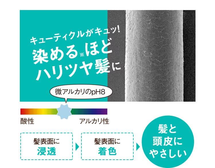 x3セット LPLP エッセンス ヘアカラートリートメント アッシュブラウン