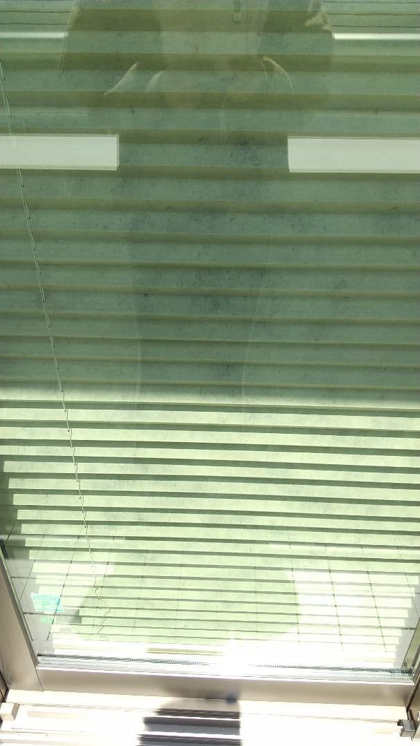 プリーツスクリーン 和紙 グリーン