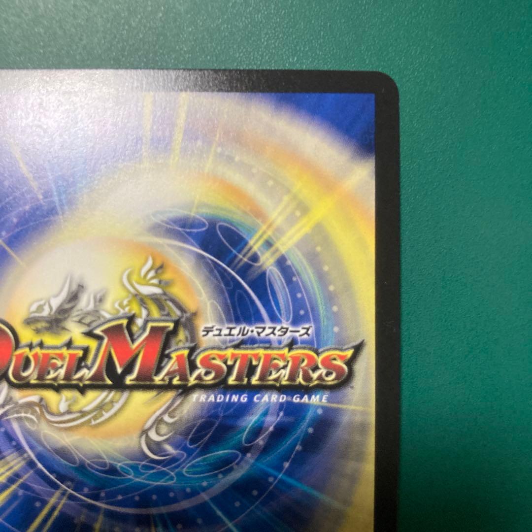 ナチュラルチイズ様取り置き　ドギラゴン王道シク1枚