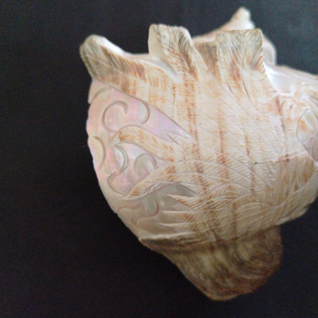 貝殻　置物　龍　鳳凰　彫刻