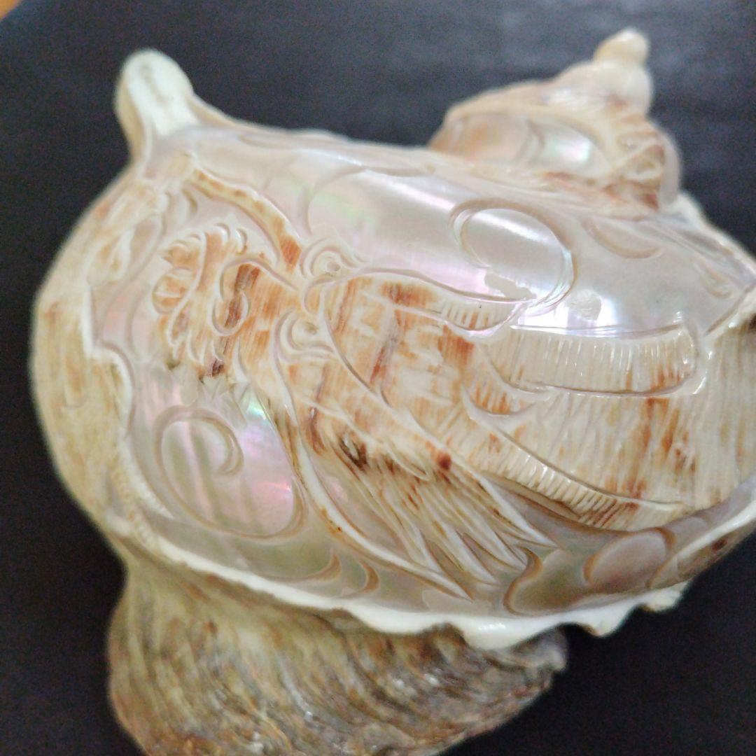 貝殻　置物　龍　鳳凰　彫刻