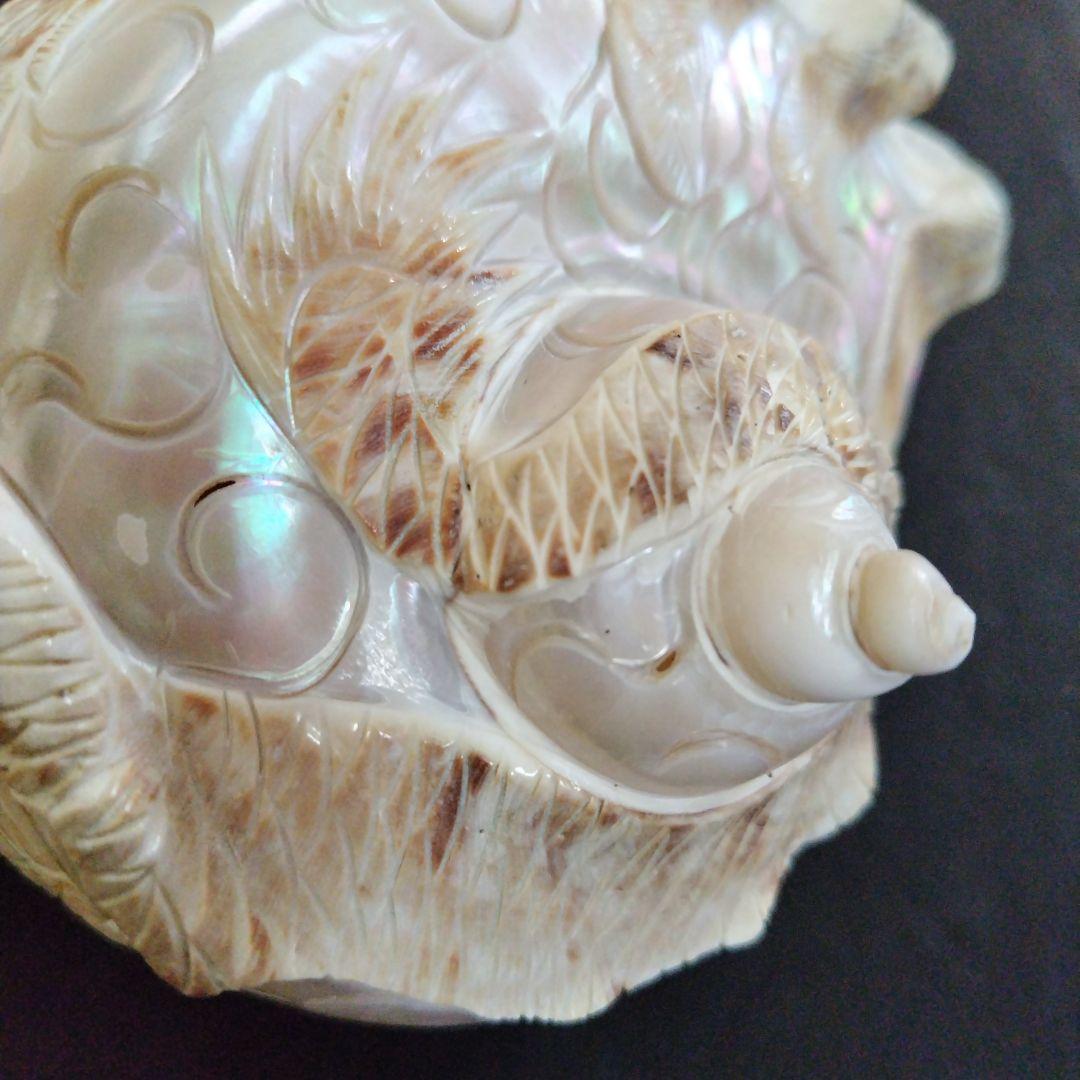 貝殻　置物　龍　鳳凰　彫刻