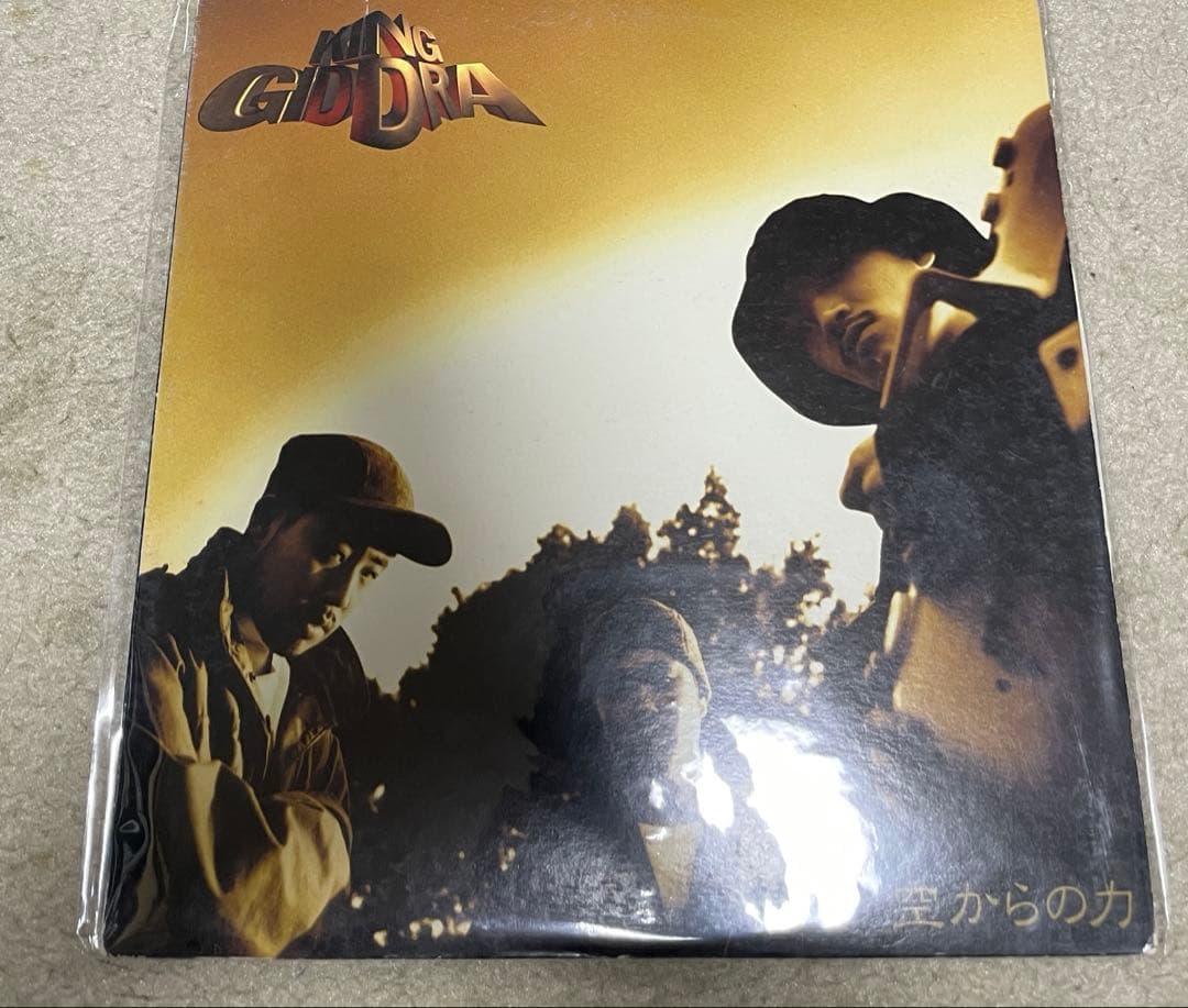 パイナップル※即購入OKです※ 2枚セット