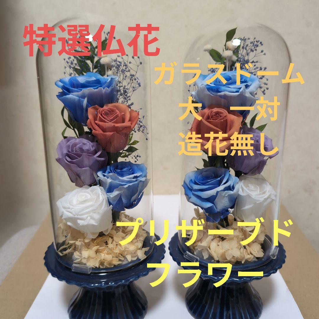 特選仏花　 大　一対 ガラスドーム入り プリザーブドフラワー　 造花無し