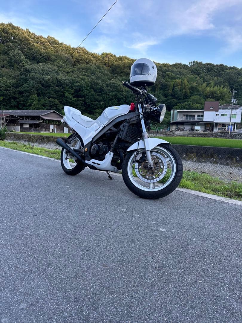 VTZ250MC15多種汎用可羽テールテールカウルAllitalianホワイト
