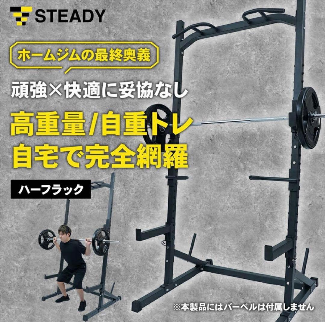 STEADY ハーフラック　懸垂、ディップス、サポート付
