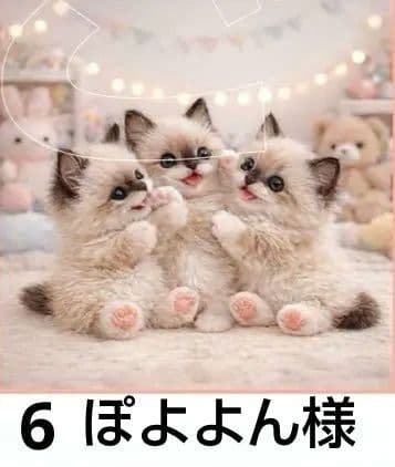 オーダーページ　ハンカチ　183 こねこ柄ハンドメイド1/31