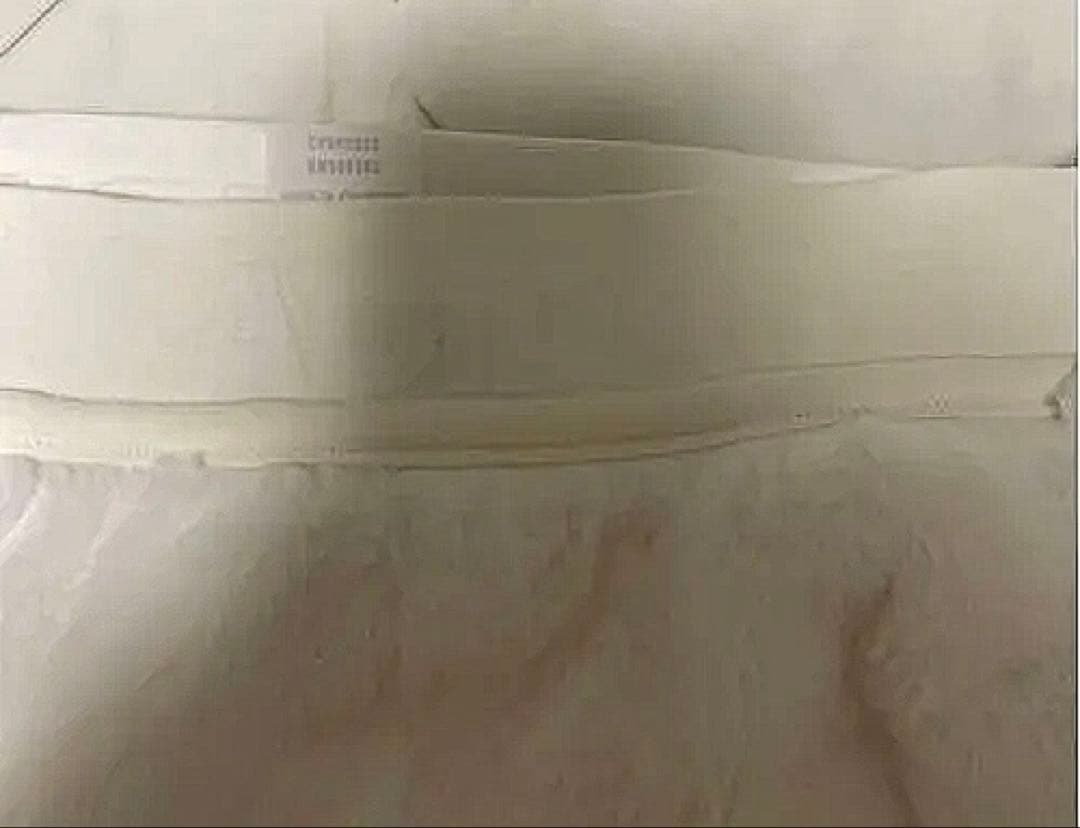 adidas golf レディースウェア セットアップ