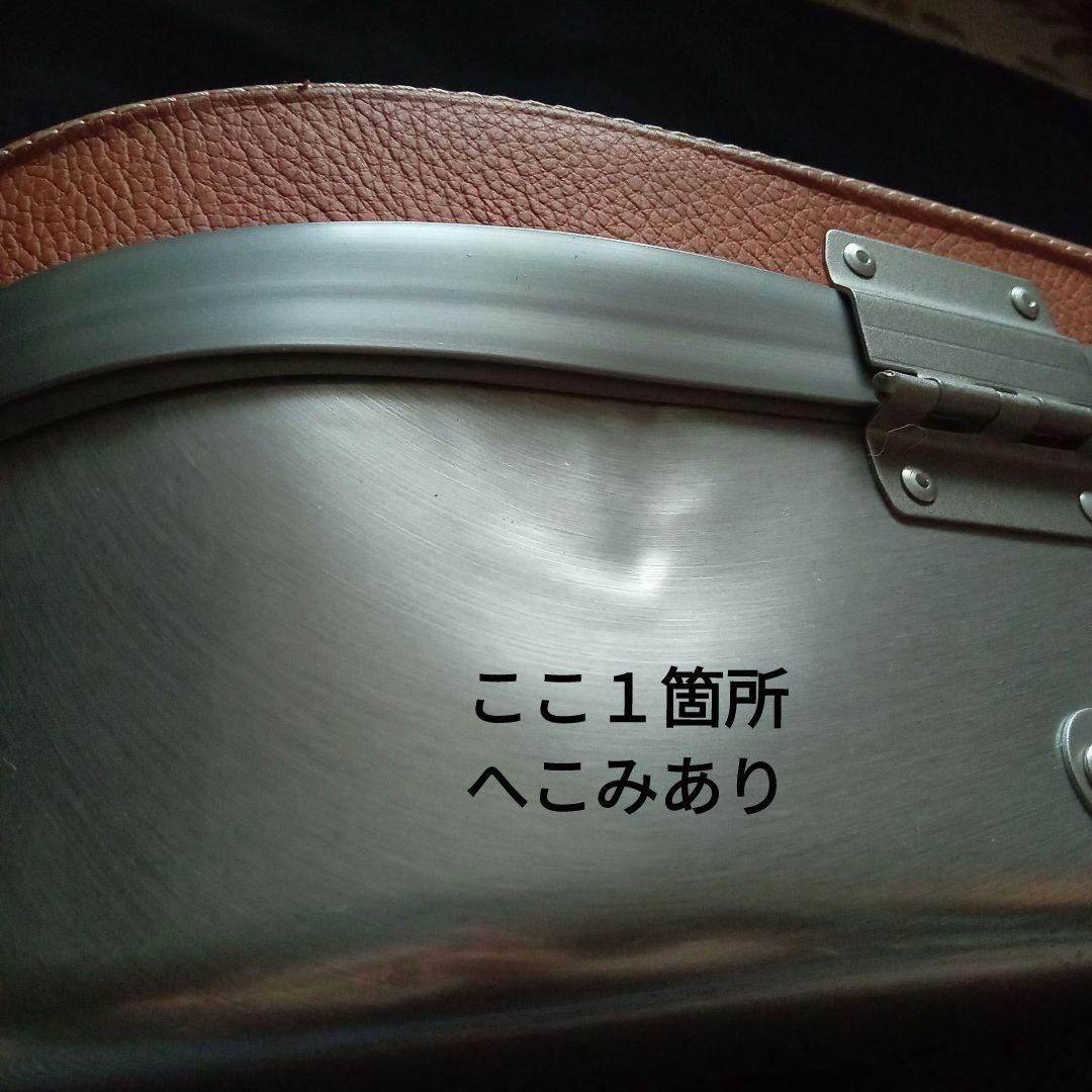 bam I'original Violin Case　FRANCE