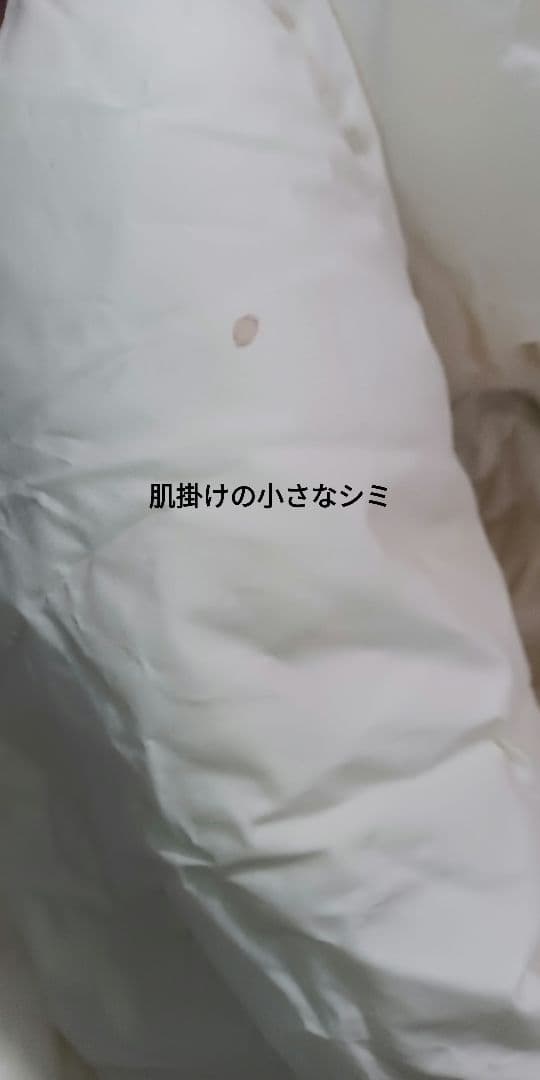 羽毛布団　2枚合わせ　肌掛け　合掛け　ホワイトダックダウン85%　W　ダブル