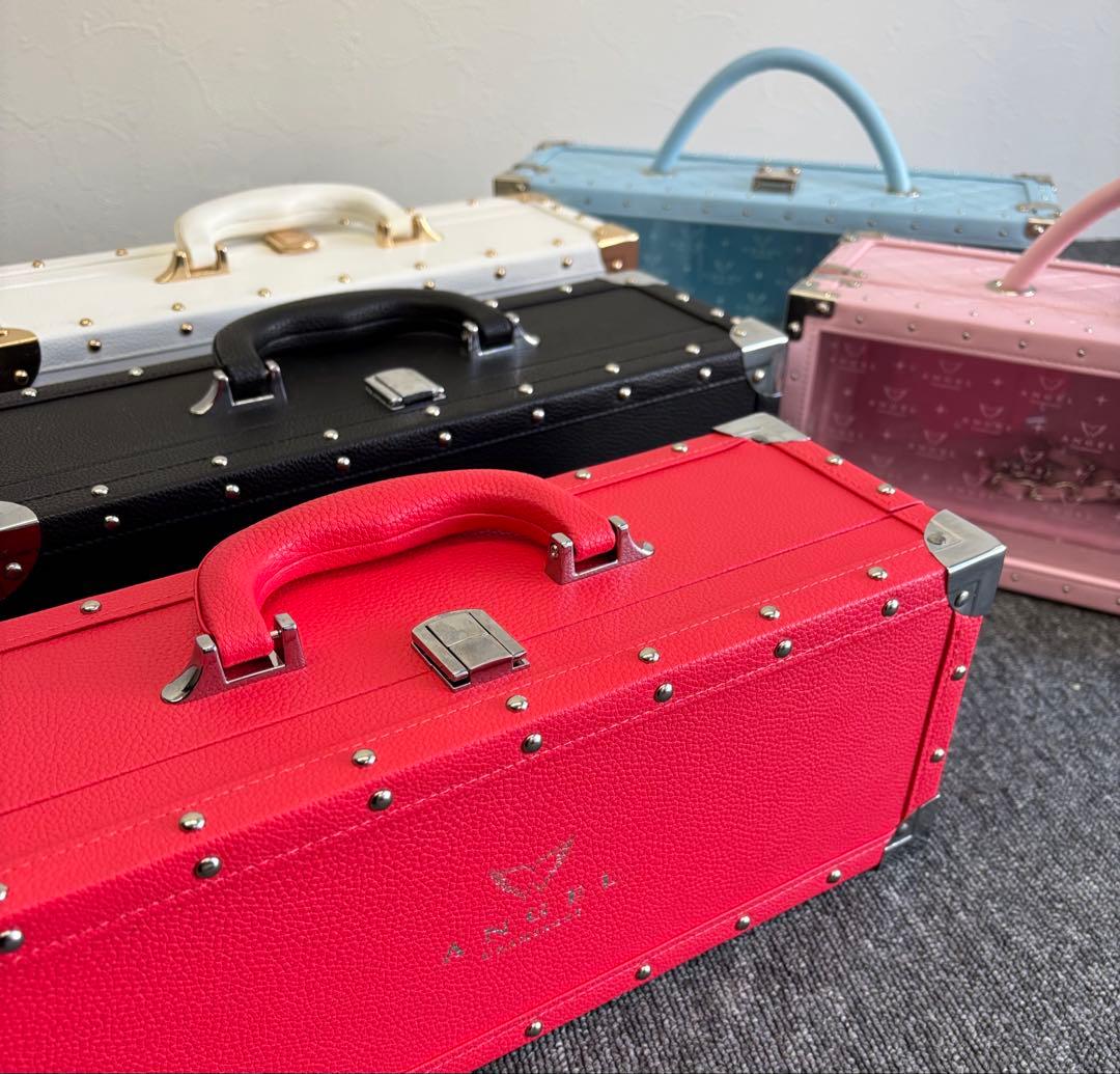 ANGEL エンジェル シャンパンボトルケース 5色セット 空瓶2本付き