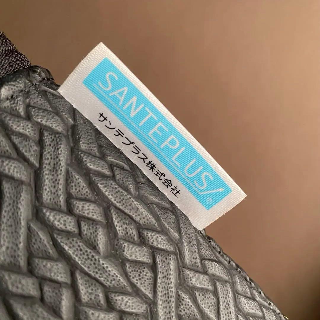 SANTEPLUS サンテプラス Flexcushion フレックスクッション