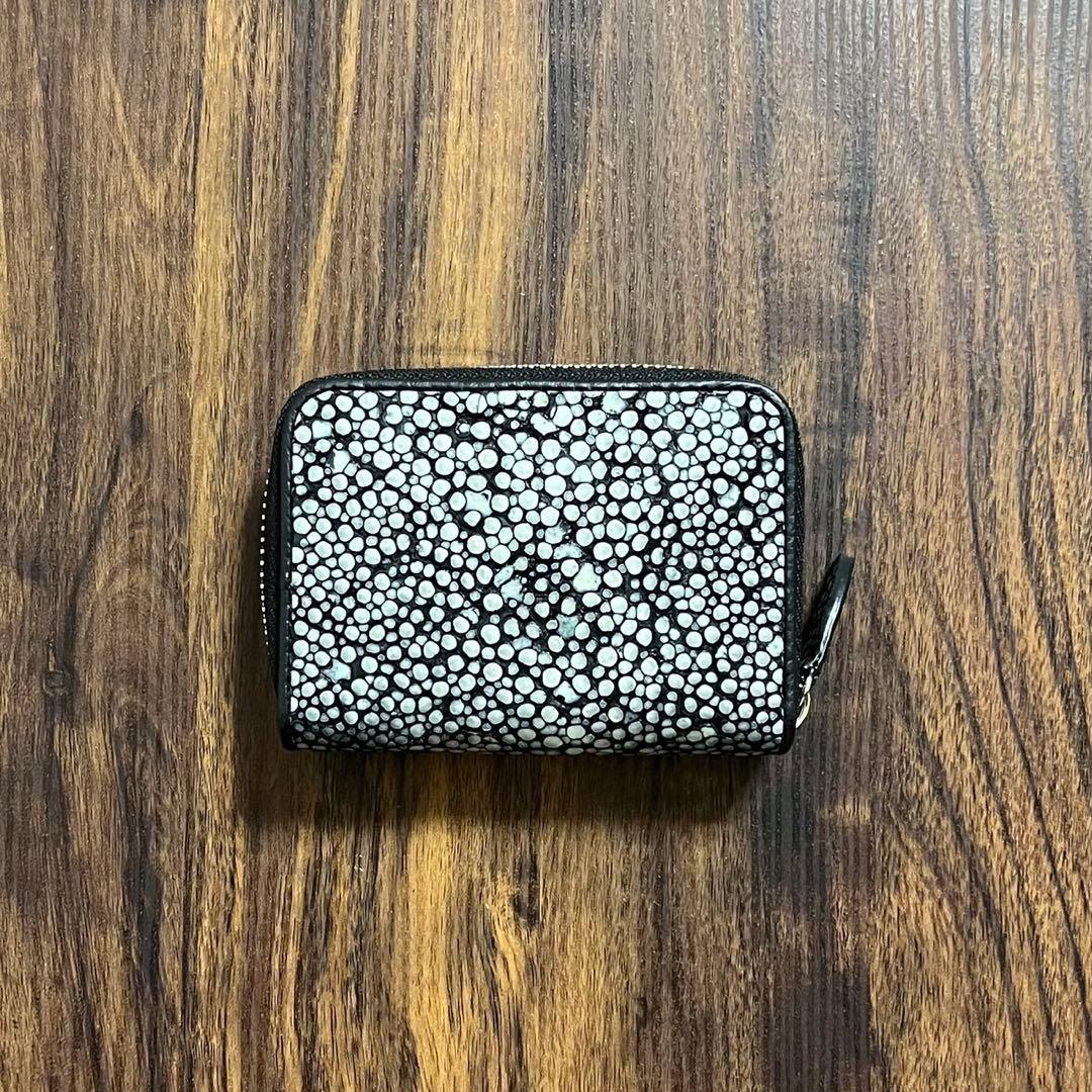 【新品・未使用】スタースティングレイ　ケース　カードケース　海の宝石　エイ