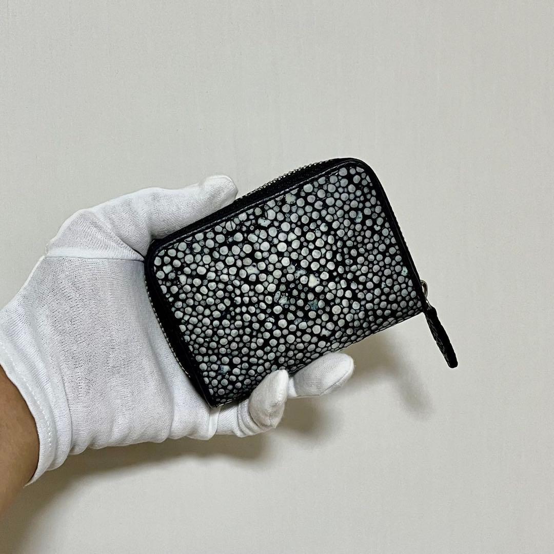 【新品・未使用】スタースティングレイ　ケース　カードケース　海の宝石　エイ