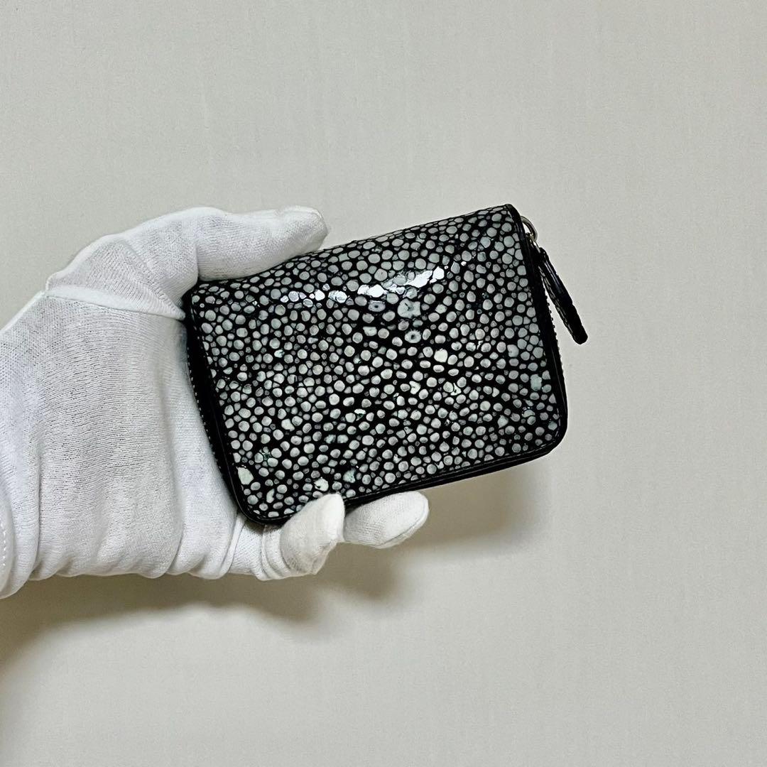 【新品・未使用】スタースティングレイ　ケース　カードケース　海の宝石　エイ