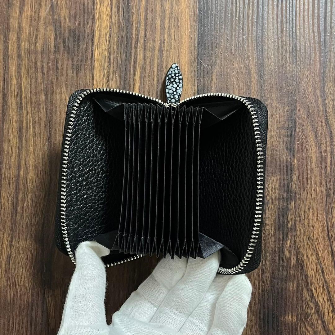 【新品・未使用】スタースティングレイ　ケース　カードケース　海の宝石　エイ