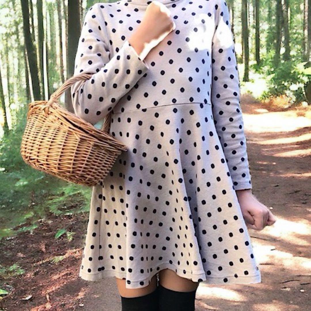 ハンギングバスケット　洗えるかご　リモコン入れやドライフラワー飾りなどに