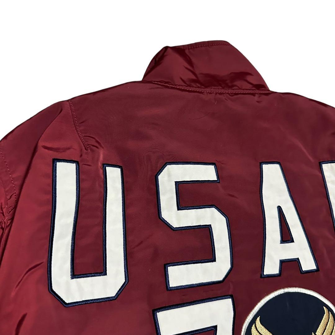 アヴィレックス　フライトジャケット MA-1 アメリカ空軍70周年記念　L