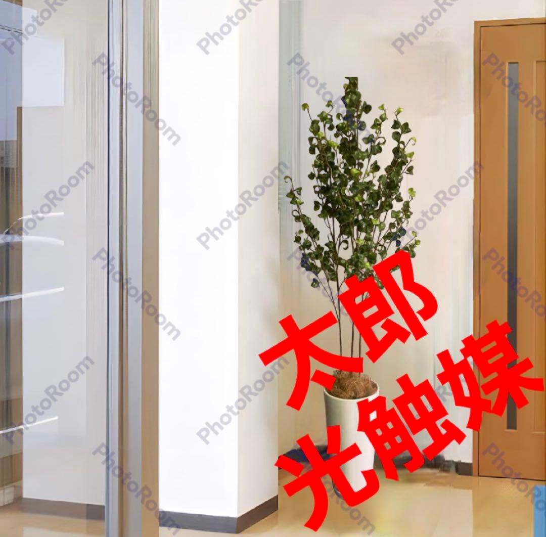 光触媒　人工観葉植物　ウォールグリーン　フェイクグリーン　ベンジャミンバロックa