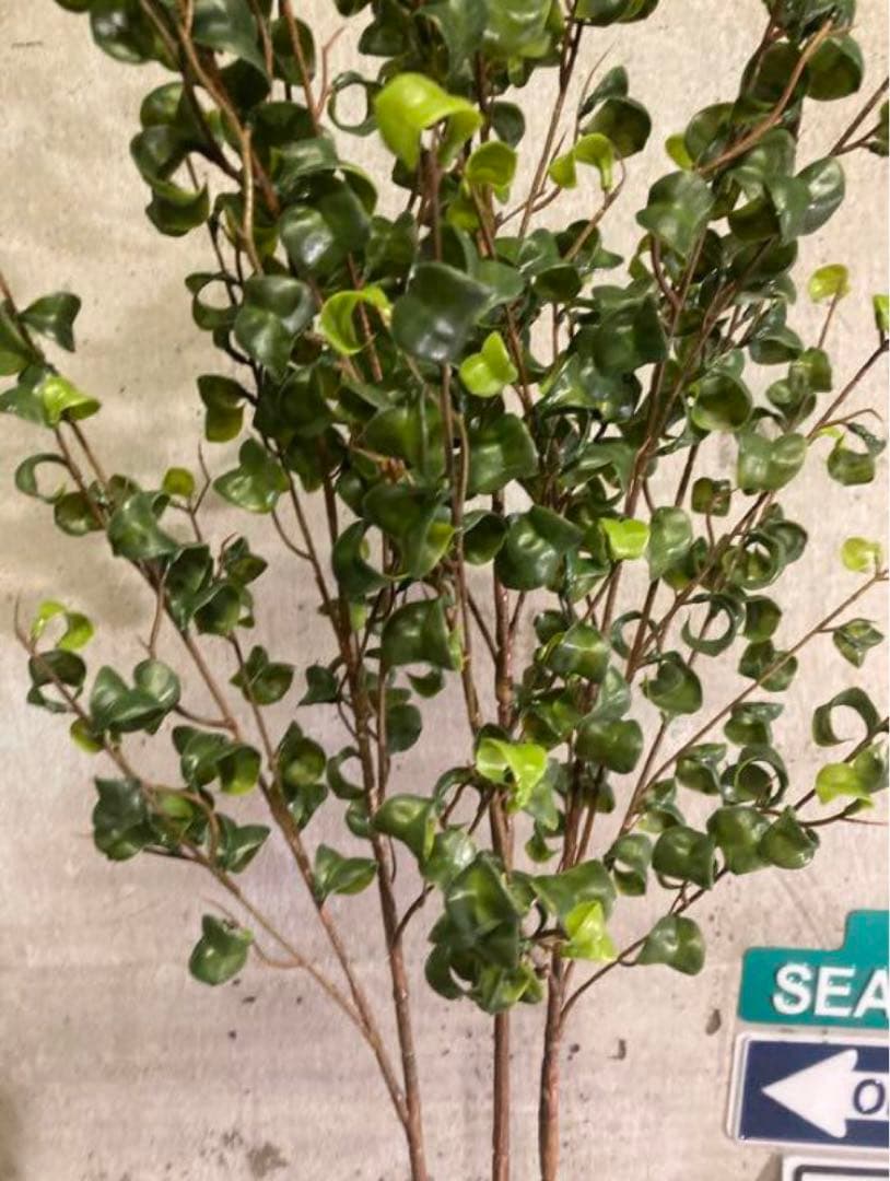 光触媒　人工観葉植物　ウォールグリーン　フェイクグリーン　ベンジャミンバロックa