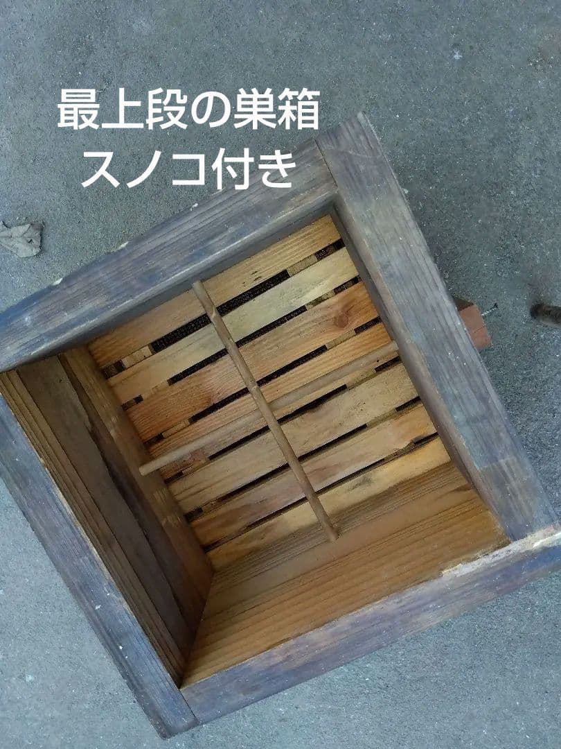 日本みつばちの巣箱 飼育箱 フルシーズン(厳冬猛暑)対応型箱