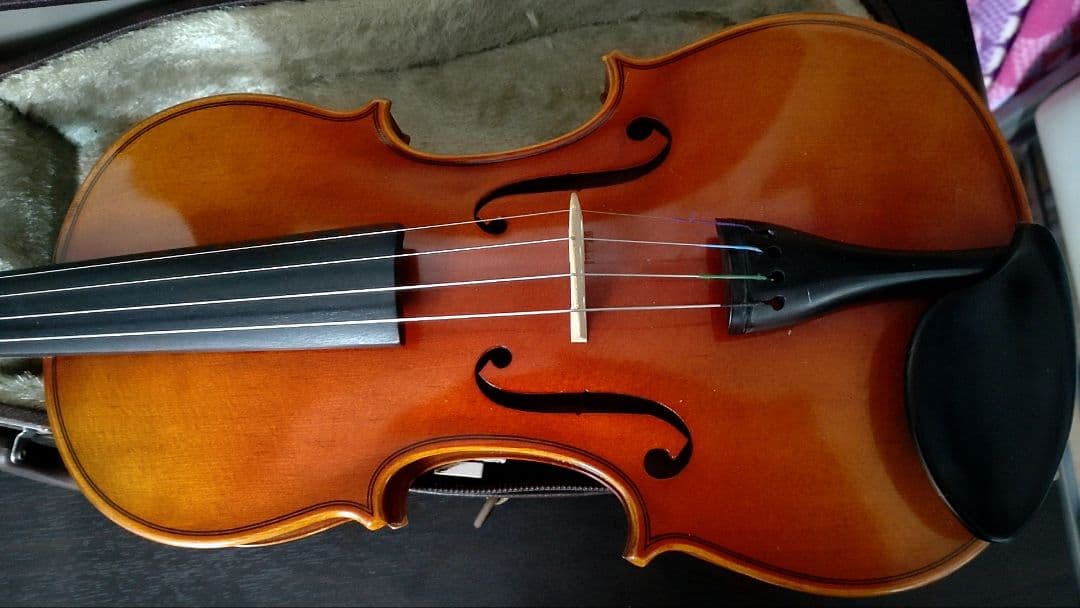 週末限定値下げ　日本製　SUZUKI　バイオリン　No.200　1/2　セット