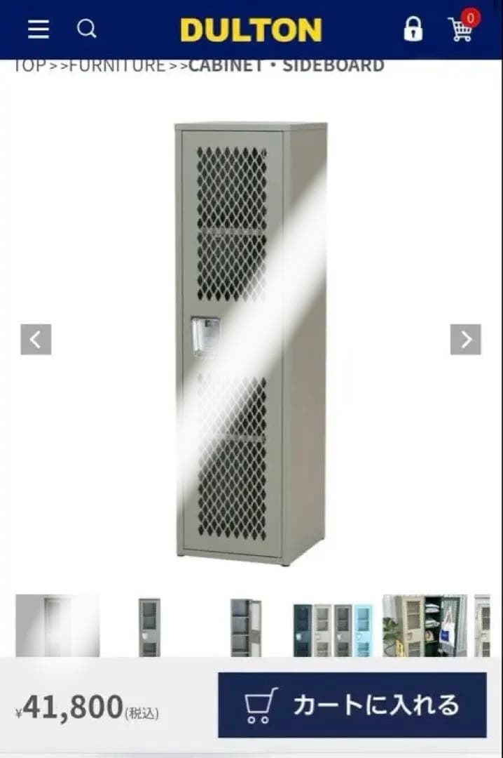 超美品　DULTON / STEEL MESH LOCKER MOSS GRAY