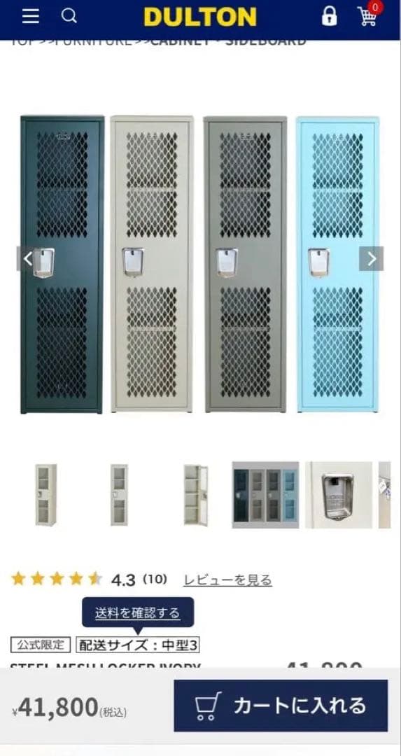 超美品　DULTON / STEEL MESH LOCKER MOSS GRAY